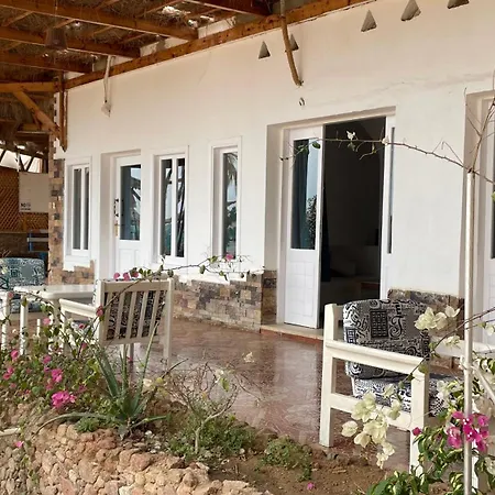 Sunshine Divers Club & Home